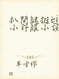 扒开腿挺进肉嫩小舒服小说