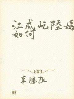 江成屹陆嫣结局如何