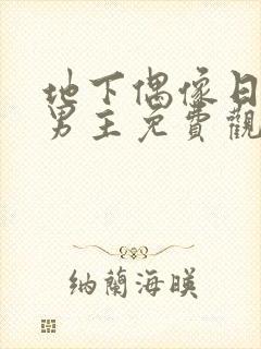 地下偶像日漫双男主免费观看封面