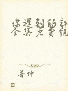 你迟到的许多年全集免费观看