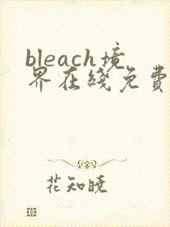 bleach境界在线免费观看全集封面