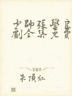 少帅张学良电视剧全集免费观看高清封面