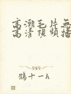 高潮毛片无遮挡高清视频播放封面