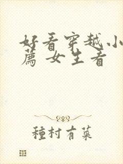 好看穿越小说推荐 女生看