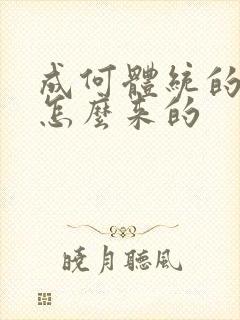 成何体统的太子怎么来的