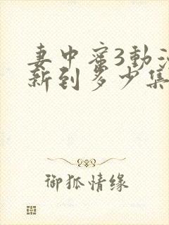 妻中蜜3动漫更新到多少集了