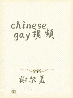 chinese gay视频