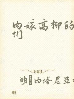 肉嫁高柳的家人们