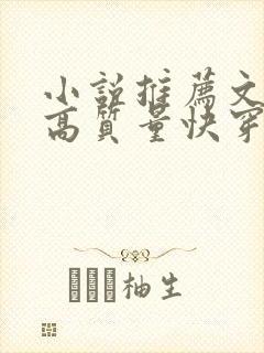 小说推荐文笔好高质量快穿文