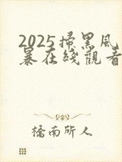 2025扫黑风暴在线观看完整版免费观看
