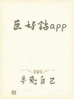 巨好钻app