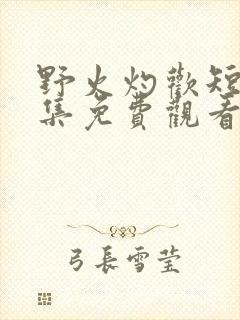 野火灼欢短剧全集免费观看