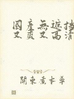 国产无遮挡又黄又爽又高清免费在线观看