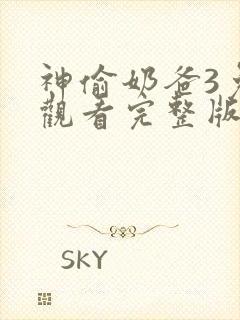 神偷奶爸3免费观看完整版国语高清