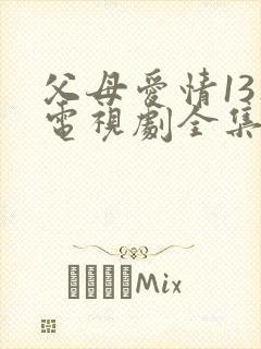 父母爱情13集电视剧全集