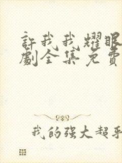 许我我耀眼电视剧全集免费观看