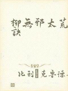 柳无邪太荒吞天诀封面