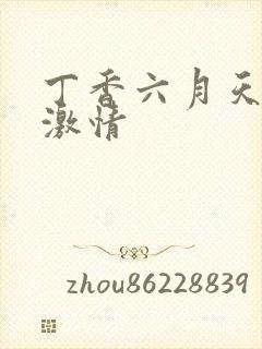 丁香六月天婷婷激情封面