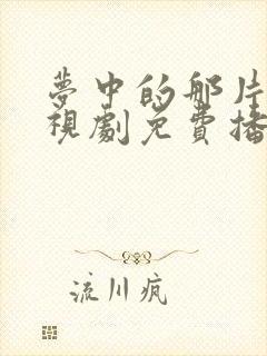 梦中的那片海电视剧免费播放全集