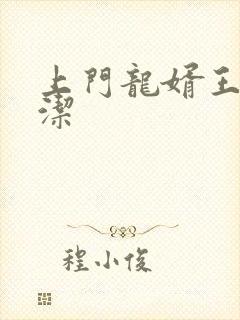 上门龙婿王浩李洁