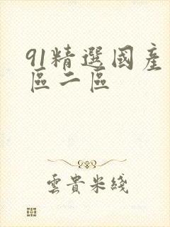 91精选国产一区二区封面