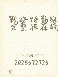 战略特勤组免费完整版在线观看