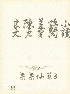 良陈美锦小说全文免费阅读下载