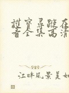 护宝寻踪在线观看全集高清