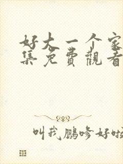 好大一个家40集免费观看