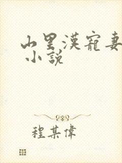 山里汉宠妻无度 小说