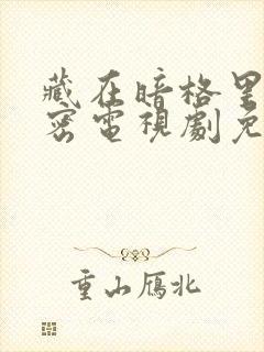 藏在暗格里的秘密电视剧免费看