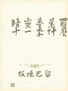 精灵梦叶罗丽第十一季什么时候更新封面