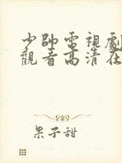 少帅电视剧免费观看高清在线播放