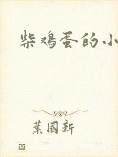 柴鸡蛋的小说封面