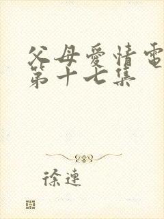 父母爱情电视剧第十七集