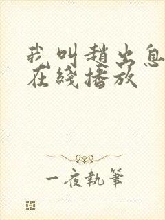 我叫赵出息免费在线播放封面