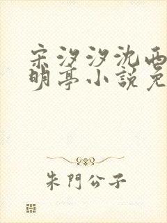 宋汐汐沈西今陆明亭小说免费阅读