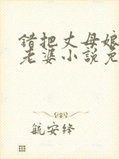 错把丈母娘当成老婆小说免费阅读