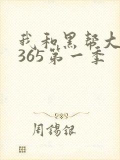 我和黑帮大佬的365第一季