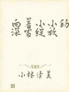 向着小小的花蕾深处绽放封面