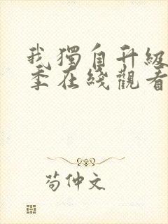 我独自升级第一季在线观看高清