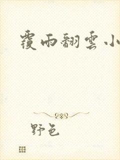 覆雨翻云小说封面