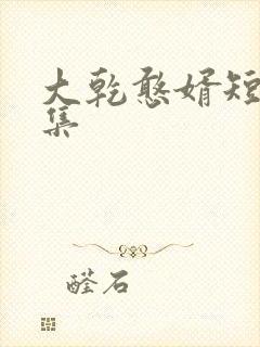 大乾憨婿短剧合集封面