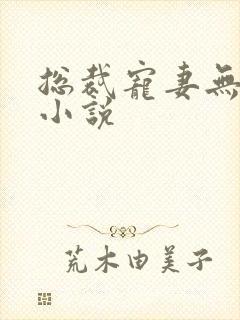 总裁宠妻无度的小说封面