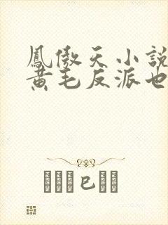 凤傲天小说里的黄毛反派也想幸福在线阅读
