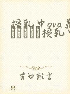 授乳中ova义はヤンママ授乳中》,封面