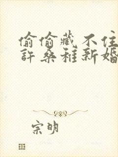 偷偷藏不住段嘉许桑稚新婚之夜封面