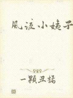 风流小姨子封面