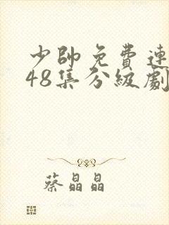 少帅免费连续剧48集分级剧情
