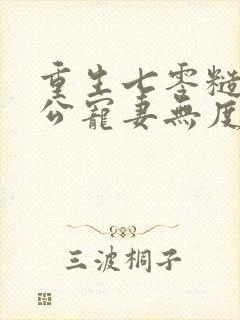 重生七零糙汉老公宠妻无度